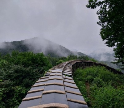 [포맷변환]20250424[쥐엄나무 남한산성].jpg width: 100%; height : 150px