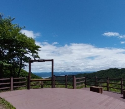 20250610[청계산 정상 전망대와 뽕나무].jpg width: 100%; height : 150px