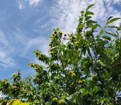 20250729[밤 (2).jpg width: 100%; height : 150px