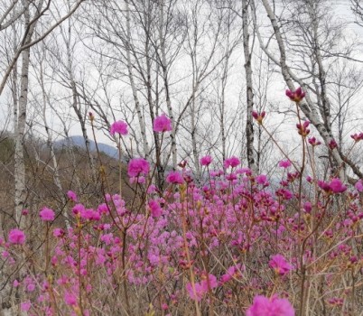 17.자작 (5).jpg width: 100%; height : 150px