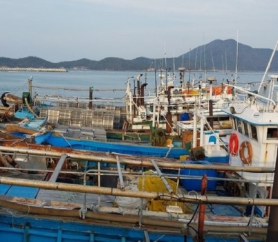 1.jpg width: 100%; height : 150px