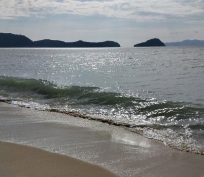 20251016[명사.jpg width: 100%; height : 150px