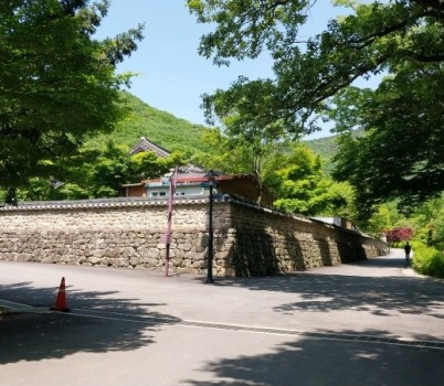 photo-2024-05-10-11-17-47.jpg width: 100%; height : 150px